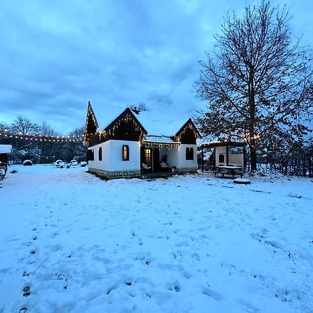 Вилла Cuib Din Fagaras Авриг Экстерьер фото